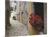 Cobblestone Street and Geraniums, Bale, Croatia-Adam Jones-Mounted Photographic Print