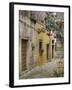 Cobblestone Street, Bale, Croatia-Adam Jones-Framed Photographic Print