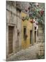 Cobblestone Street, Bale, Croatia-Adam Jones-Mounted Photographic Print