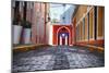 Cobblestone Street in Old San Juan, Puerto Rico-George Oze-Mounted Photographic Print