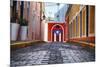 Cobblestone Street in Old San Juan, Puerto Rico-George Oze-Mounted Photographic Print