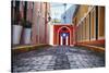 Cobblestone Street in Old San Juan, Puerto Rico-George Oze-Stretched Canvas