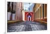 Cobblestone Street in Old San Juan, Puerto Rico-George Oze-Framed Premium Photographic Print