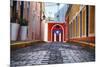 Cobblestone Street in Old San Juan, Puerto Rico-George Oze-Mounted Premium Photographic Print