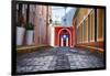 Cobblestone Street in Old San Juan, Puerto Rico-George Oze-Framed Premium Photographic Print