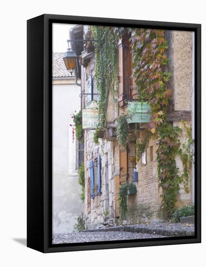 Cobblestone Street with Half Timber Stone Houses, Place De La Myrpe, Bergerac, Dordogne, France-Per Karlsson-Framed Stretched Canvas