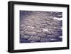 Cobblestone walkway at Pere Lachaise Cemetery, Paris, France-Russ Bishop-Framed Photographic Print
