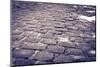 Cobblestone walkway at Pere Lachaise Cemetery, Paris, France-Russ Bishop-Mounted Photographic Print