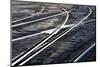 Cobblestones and Rails, Prague, Czech Republic-null-Mounted Photographic Print