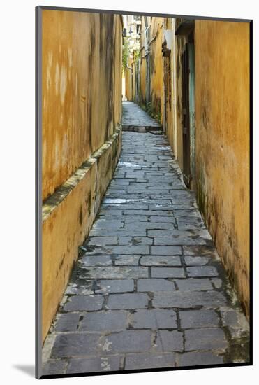 Cobblestones and yellow walls in alleyway, Hoi An, Vietnam-David Wall-Mounted Photographic Print