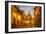 Cobblestones of Aldama Street, San Miguel De Allende, Mexico-Chuck Haney-Framed Photographic Print