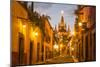 Cobblestones of Aldama Street, San Miguel De Allende, Mexico-Chuck Haney-Mounted Photographic Print