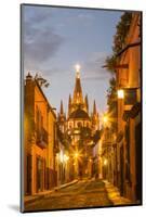 Cobblestones of Aldama Street, San Miguel De Allende, Mexico-Chuck Haney-Mounted Photographic Print