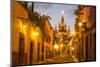 Cobblestones of Aldama Street, San Miguel De Allende, Mexico-Chuck Haney-Mounted Premium Photographic Print