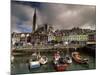 Cobh Harbour and St. Colman's Cathedral, Cobh, County Cork, Munster, Republic of Ireland-Patrick Dieudonne-Mounted Photographic Print