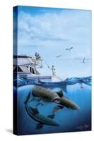 Cobia Quest-Dann Spider-Stretched Canvas