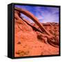 Cobra Arch in the Paria Canyon Primitive Area Near Kanab, Utah-John Lambing-Framed Stretched Canvas