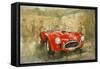 Cobra at Brooklands-Peter Miller-Framed Stretched Canvas