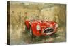 Cobra at Brooklands-Peter Miller-Stretched Canvas