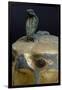 Cobra, Canopic Jar of Psusennes I in Alabaster and Gold Leaf Surmounted by a Falcon's Head-null-Framed Giclee Print