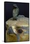 Cobra, Canopic Jar of Psusennes I in Alabaster and Gold Leaf Surmounted by a Falcon's Head-null-Framed Stretched Canvas