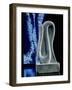 Cobra Sculpture, Tomb of Amenhotep III, Luxor, Egypt-R Guillemot-Framed Photographic Print