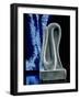 Cobra Sculpture, Tomb of Amenhotep III, Luxor, Egypt-R Guillemot-Framed Photographic Print