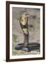 Cobra-DLILLC-Framed Photographic Print