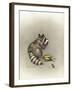 Cobs and Robbers-Peggy Harris-Framed Giclee Print