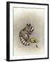 Cobs and Robbers-Peggy Harris-Framed Giclee Print