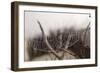 Cobweb, Dewdrops-Roland T.-Framed Photographic Print