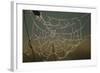 Cobweb with Dewdrops-Uwe Steffens-Framed Photographic Print