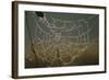 Cobweb with Dewdrops-Uwe Steffens-Framed Photographic Print