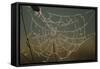 Cobweb with Dewdrops-Uwe Steffens-Framed Stretched Canvas