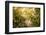 Cobwebs in the grass with bokeh background-Paivi Vikstrom-Framed Photographic Print