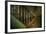 Cobwebs on Stairway-Nathan Wright-Framed Photographic Print