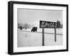 Coca Cola Road Sign on Autobahn Between Munich and Salzburg with Jep Driving-Walter Sanders-Framed Photographic Print