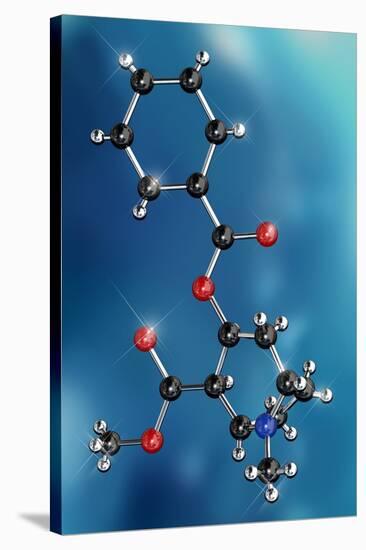 Cocaine Drug Molecule-Miriam Maslo-Stretched Canvas