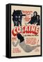Cocaine: the Thrill the Kills-null-Framed Stretched Canvas