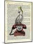 Cocatoo on Telephone-Marion Mcconaghie-Mounted Art Print