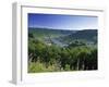 Cochem, Mosel Valley, Rheinland-Palatinate, Germany-Gavin Hellier-Framed Photographic Print