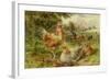 Cochin China Fowls-George Hickin-Framed Giclee Print