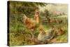 Cochin China Fowls-George Hickin-Stretched Canvas