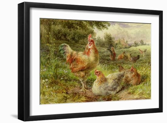 Cochin China Fowls-George Hickin-Framed Giclee Print