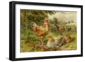 Cochin China Fowls-George Hickin-Framed Giclee Print