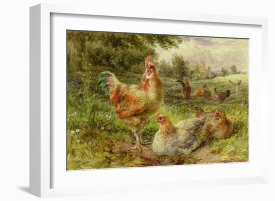 Cochin China Fowls-George Hickin-Framed Giclee Print