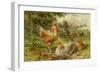 Cochin China Fowls-George Hickin-Framed Giclee Print