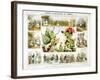 Cochineal and Lac Insects, C1850-Benjamin Waterhouse Hawkins-Framed Giclee Print