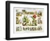 Cochineal and Lac Insects, C1850-Benjamin Waterhouse Hawkins-Framed Giclee Print