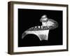 Cochlea-Mehau Kulyk-Framed Photographic Print